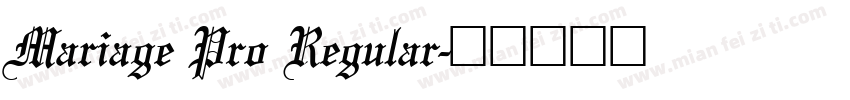 Mariage Pro Regular字体转换